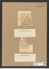 Triceratium szakalense Pant. (de-Toni-Nr.: Genus 140, Species 3967) Zeichnungen Sammlung Grunow Nr. 7443 (NHMW-BOT-W0376530)